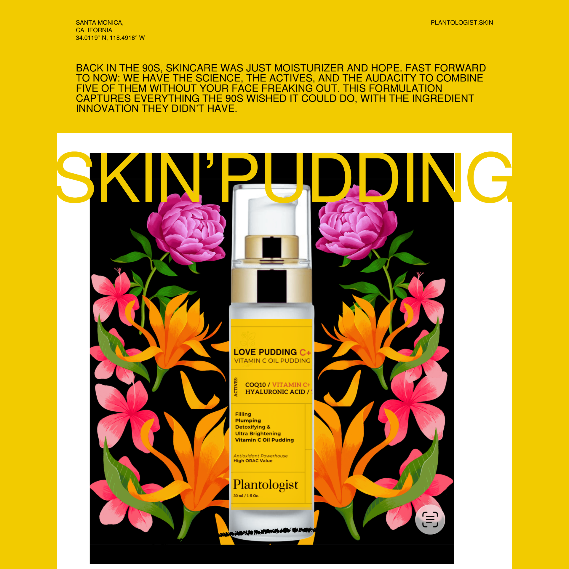 SKIN PUDDING product with botanical elements